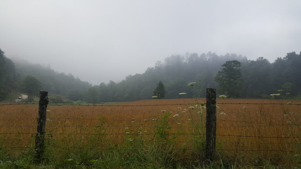 Panther Road, Bryson City ©2016 JRobin Whitley