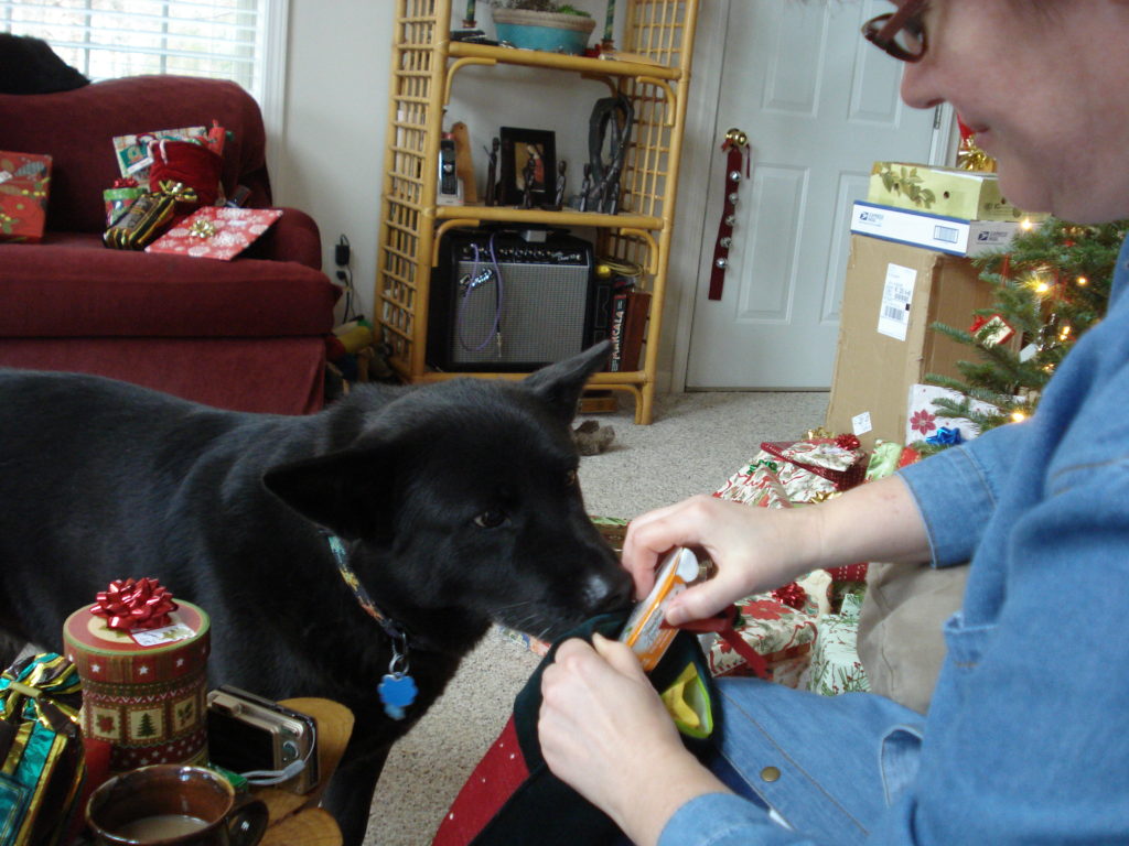 Bear loved presents