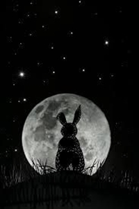 Dark Rabbit Holes
