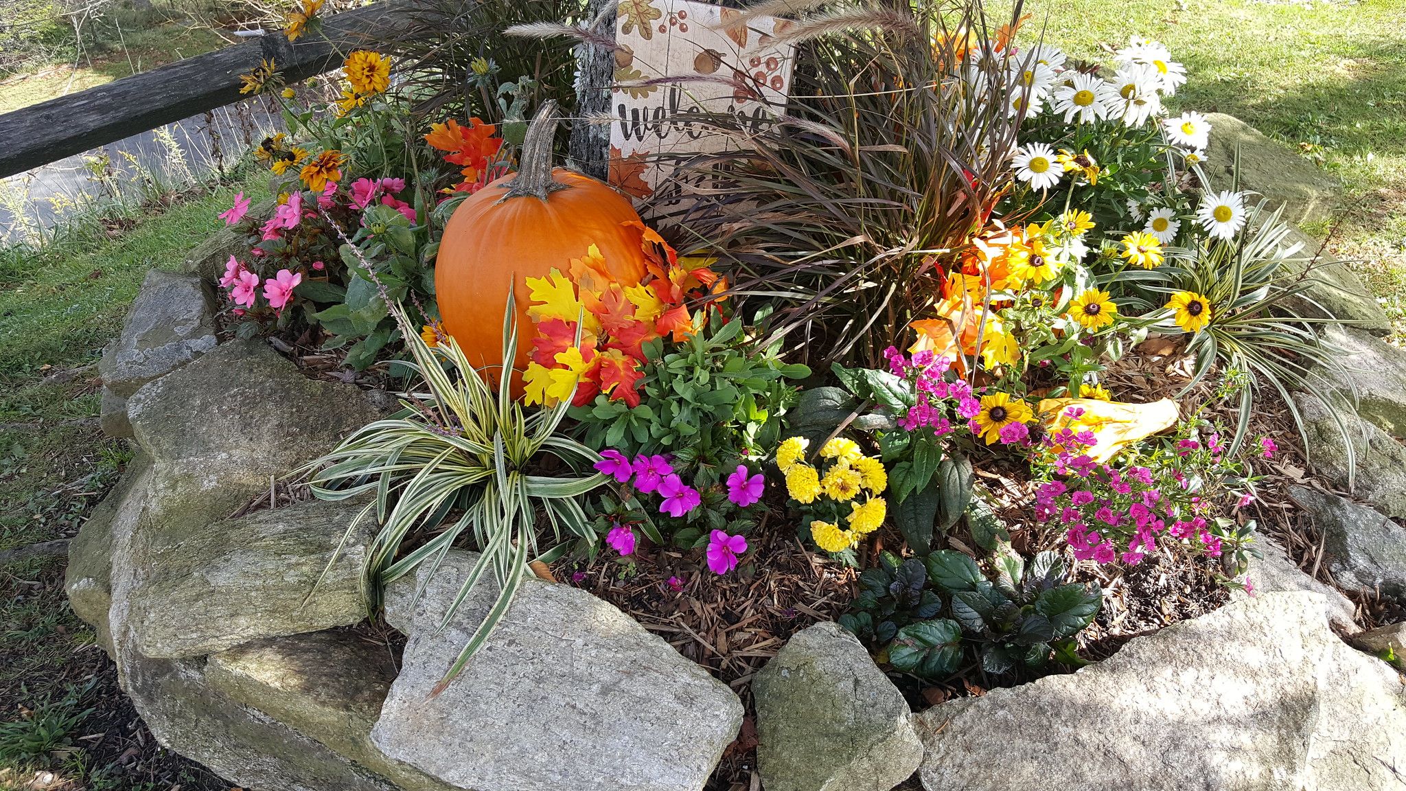 Thanksgiving 2019