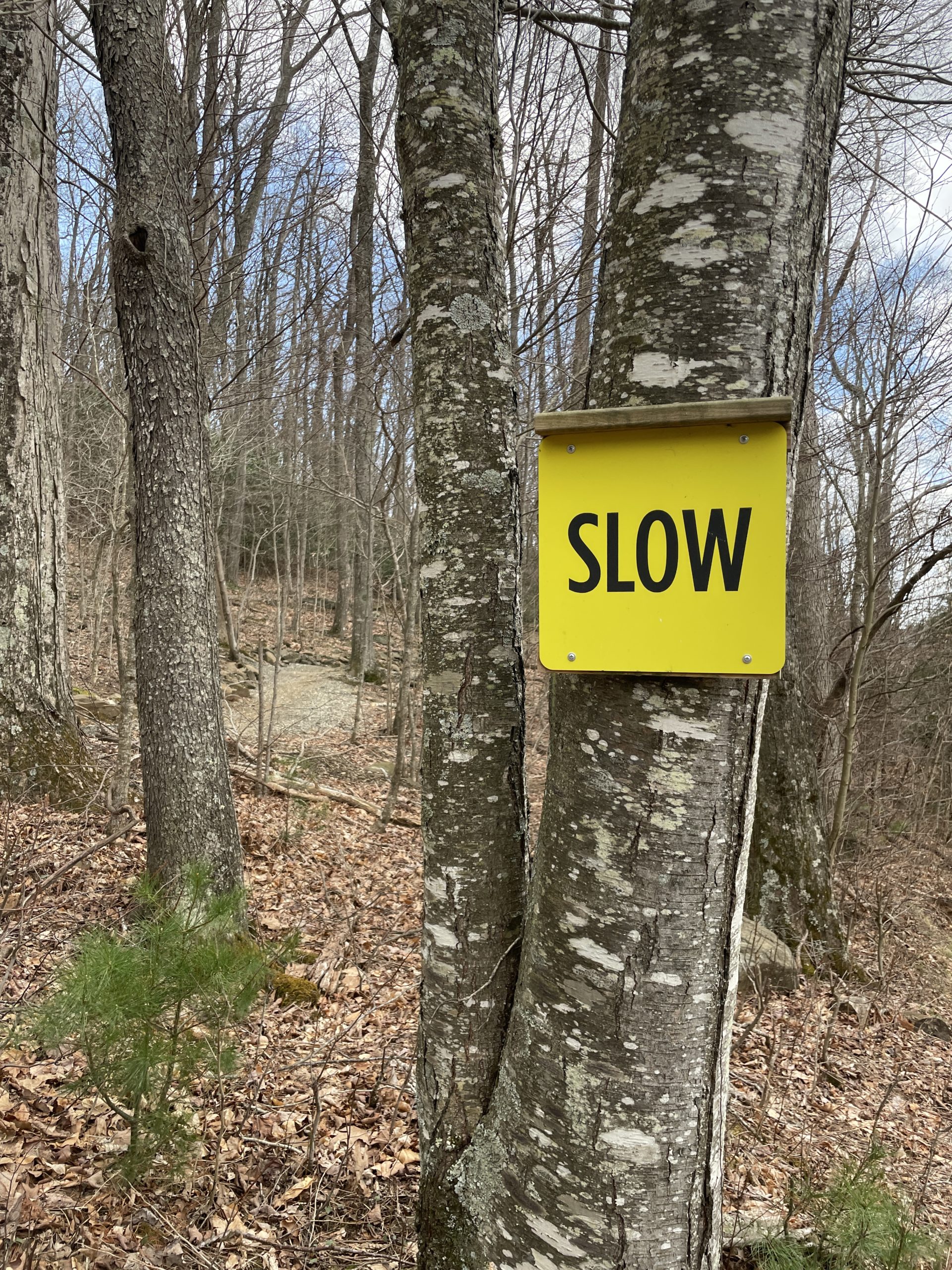 Slow is Beautiful
